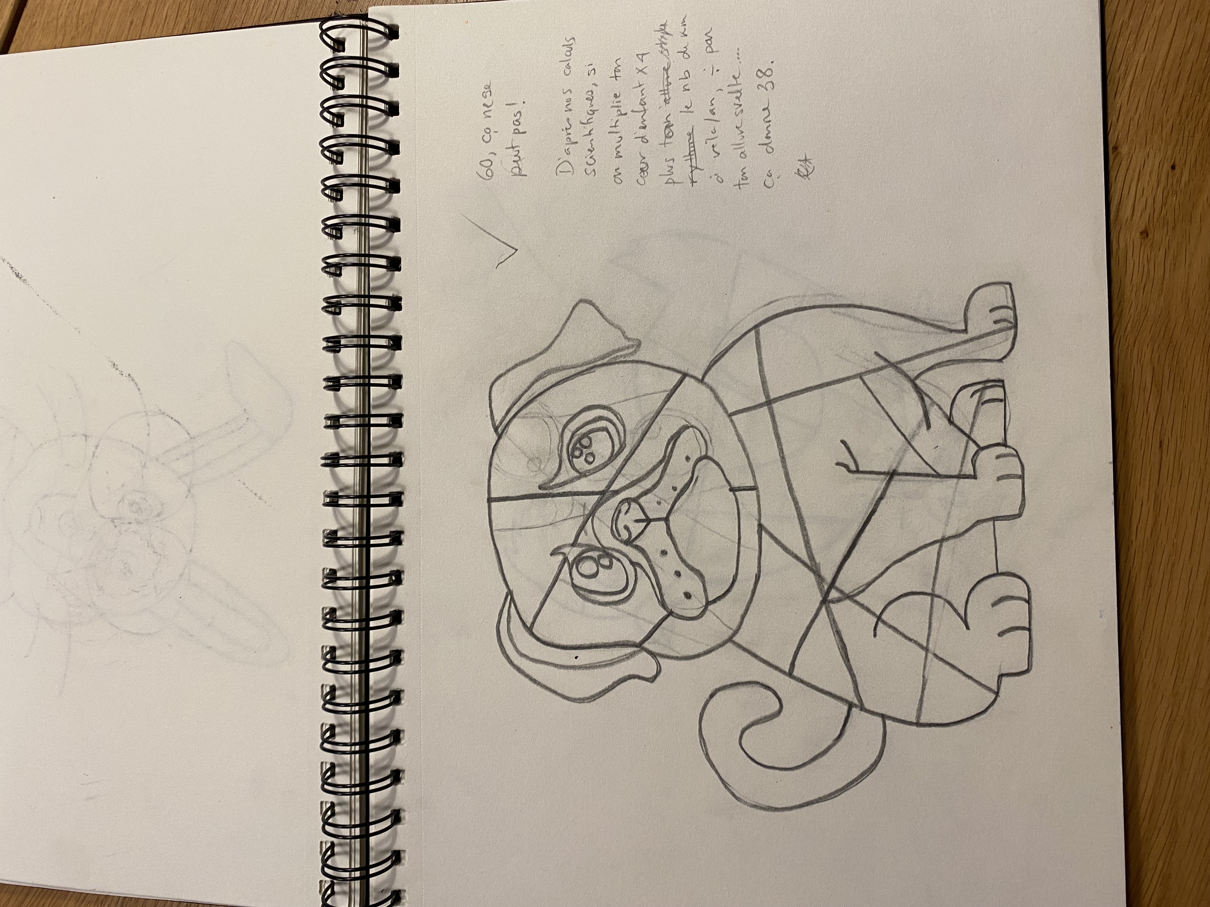 IMG_3459.jpeg